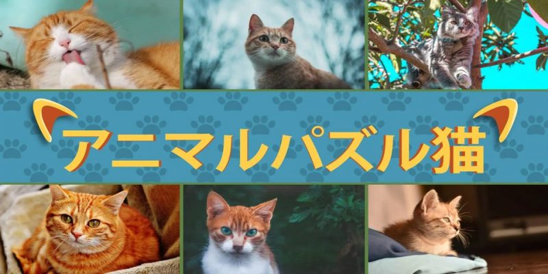 switch 动物拼图猫[1.2.47|XCI]-NS游戏网