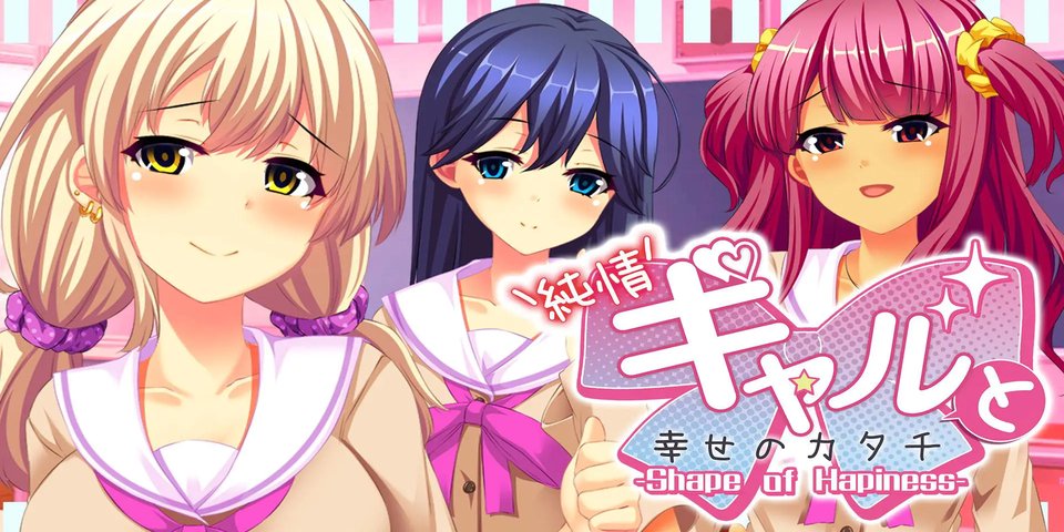 switch 纯情辣妹与幸福的样貌[1.0|XCI]-NS游戏网