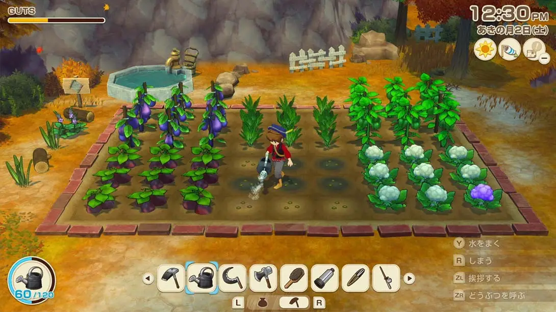 图片[3]-牧场物语 风之集会 v1.0.4 金手指-NS游戏网