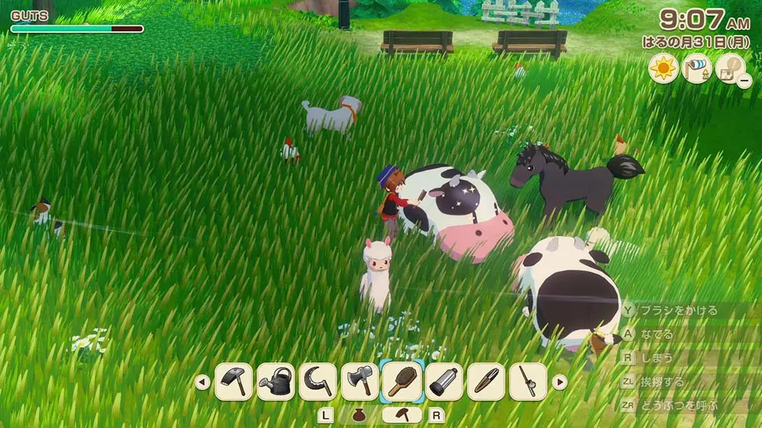 图片[5]-牧场物语 风之集会 v1.0.3 金手指-NS游戏网